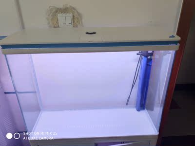 实情爆料森森鱼缸怎么样，买后三个月使用谈缺点！