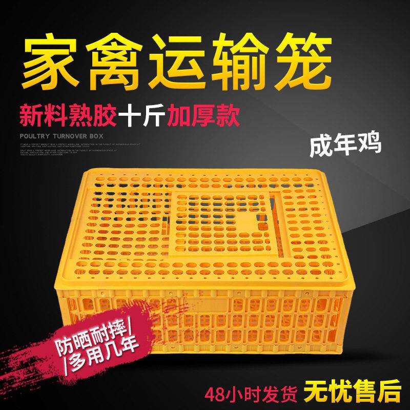 塑料鸡笼10斤大号家禽周转箱长方形鸡鸭运输笼鸡框鸽子用品蛋鸡笼