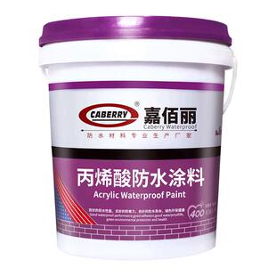 墙面基专业可出屋面和防水涂料  水泥caberry地面外墙防水口屋顶