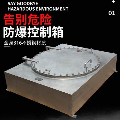 316不锈钢防爆控制箱化工厂耐腐蚀配电箱海上石油平台接线箱
