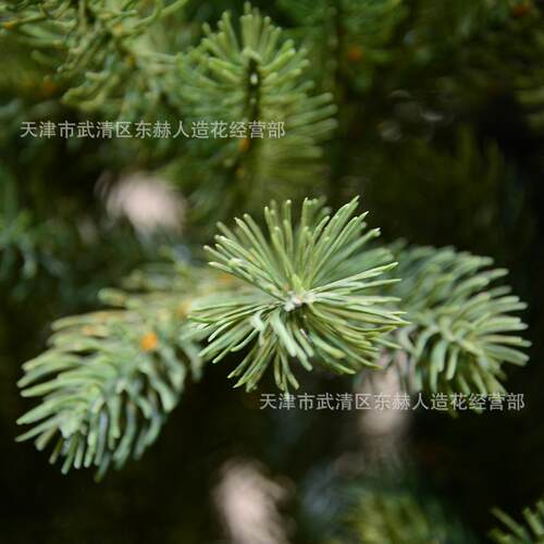 仿真植物圣诞树家居装饰品圣诞节日氛围布置摆件christmas tree