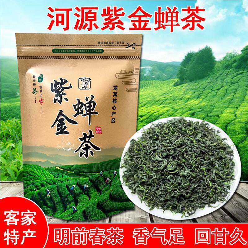 2025新茶广东河源特产紫金蝉茶绿茶浓香型500g特级虫咬茶蜜味龙窝