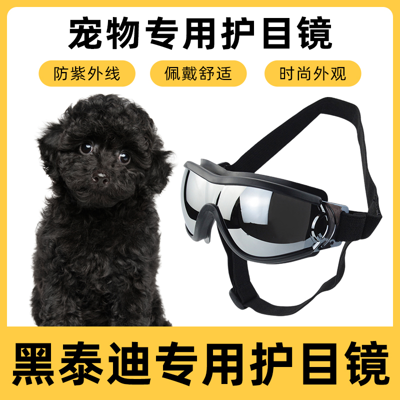 黑泰迪专用墨镜小型犬骑行防风紫外线宠物眼镜狗护目镜宠物配饰