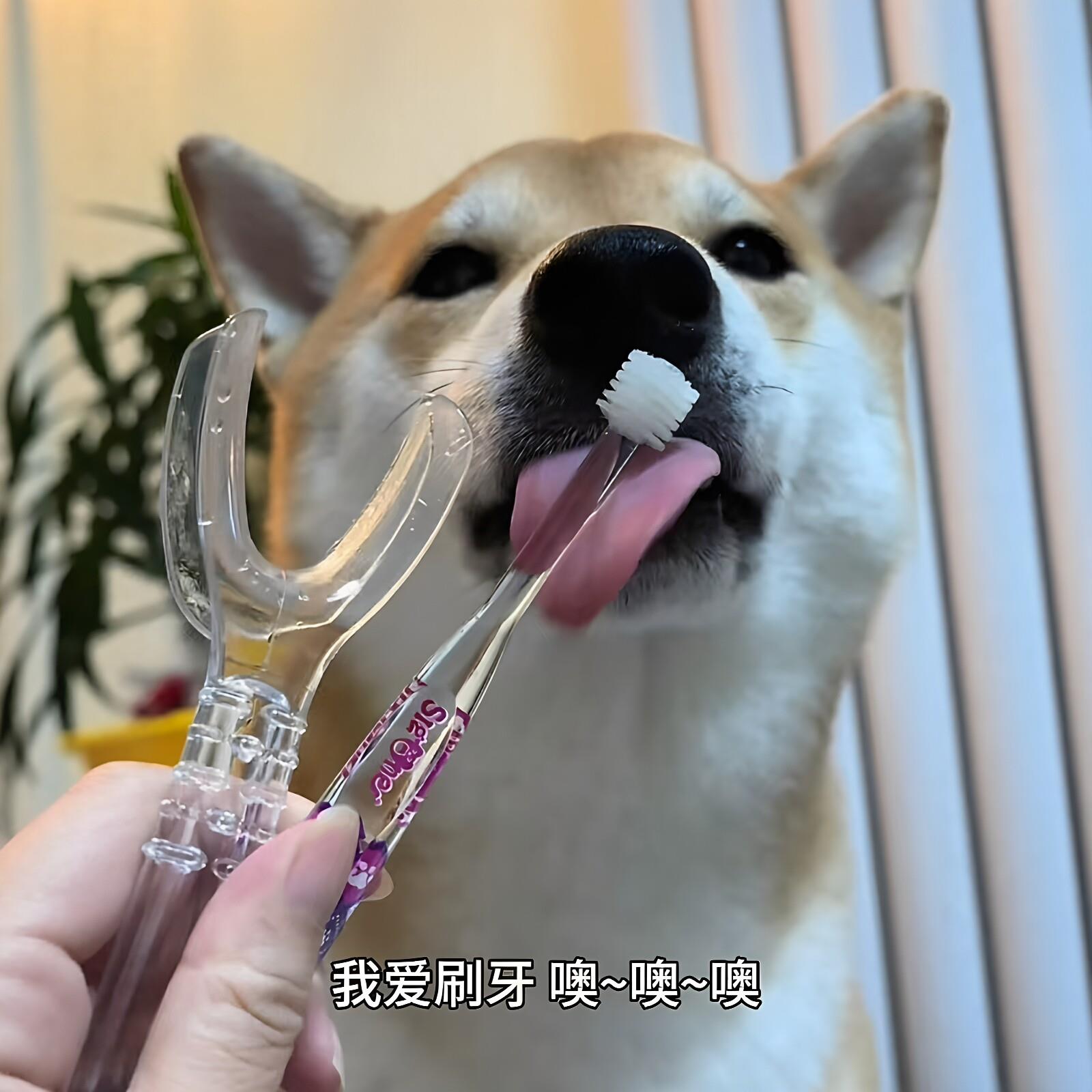 狗狗刷牙辅助神器牙齿检查器扩嘴器除去牙垢防口臭深入清洁小神器
