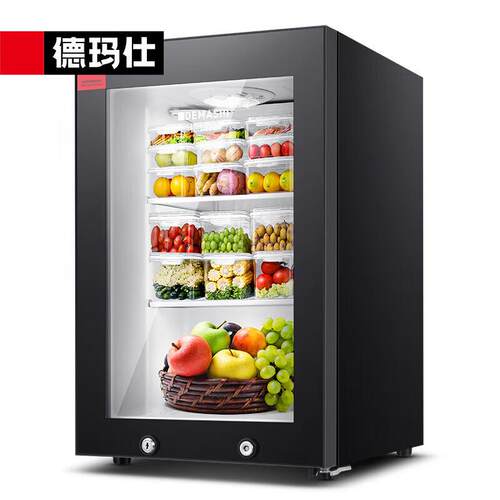 德玛仕 冷藏展示柜学校幼儿园食堂留样柜带锁果蔬保鲜柜 LG-60YL