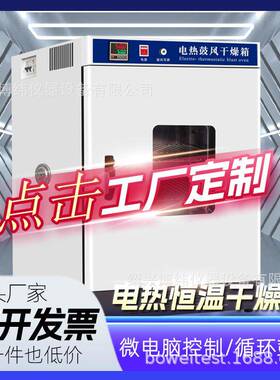 博纬厂家电热恒温鼓风干燥箱小型高温工业用烤箱商用实验室