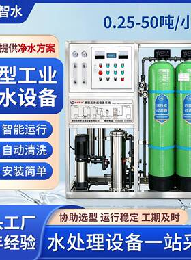 工业反渗透净水设备地下井水除泥沙去离子大流量全自动直饮过滤器