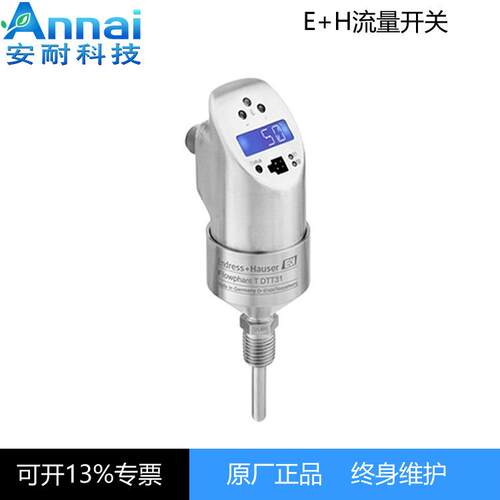 E+H流量开关DTT31-A1A111DE2AAB