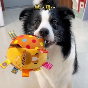 狗狗发声玩具球解闷神器宠物耐咬消耗体力磨牙毛绒球边境牧羊犬柴