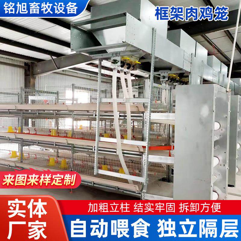框架肉鸡笼自动喂料自动清粪系统高密度养殖笼多层叠式饲养蛋鸡笼