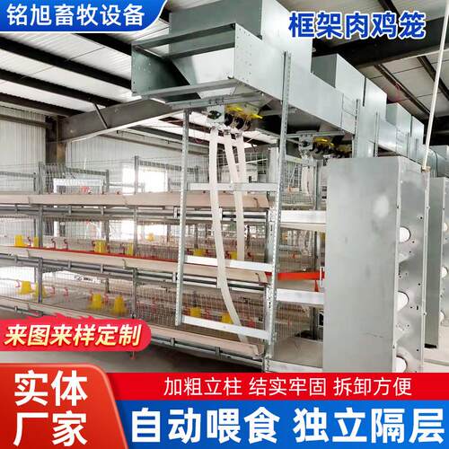 框架肉鸡笼自动喂料自动清粪系统高密度养殖笼多层叠式饲养蛋鸡笼