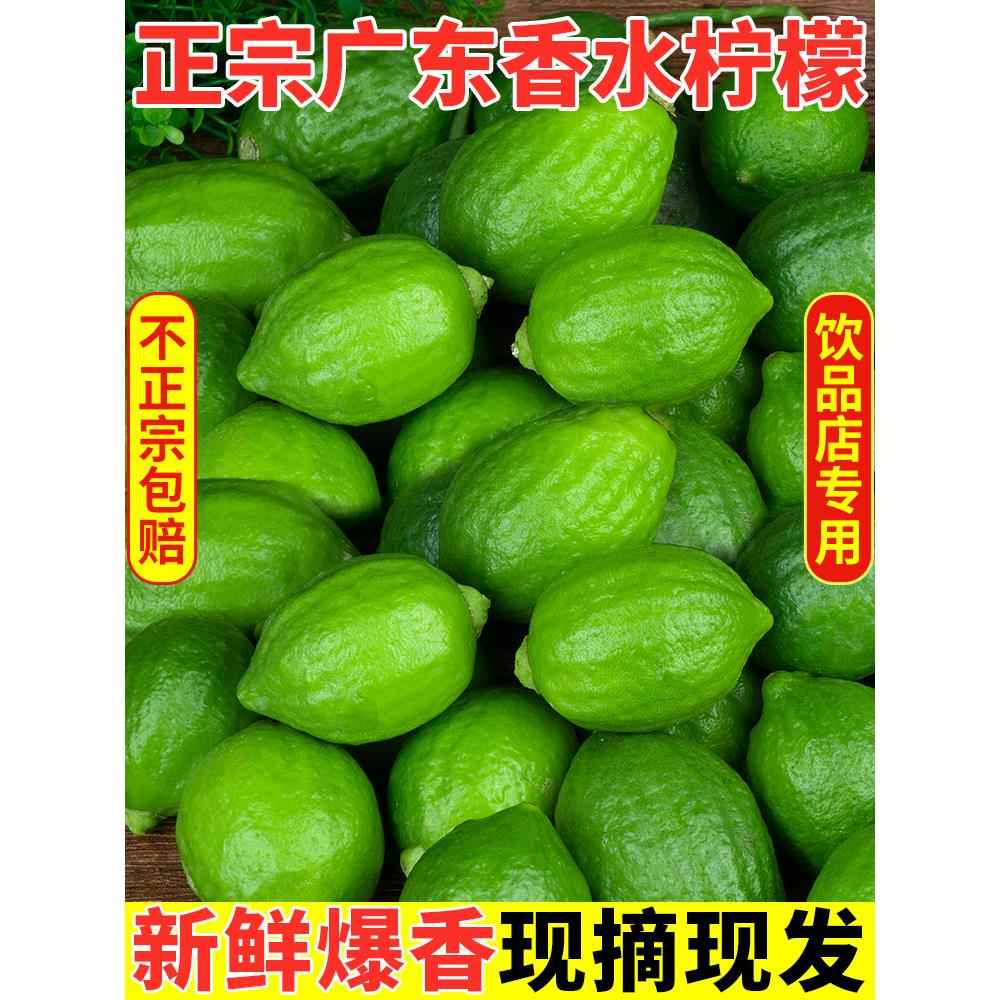广东香水柠檬新鲜正宗青柠檬无籽大果一级果应当季水果奶茶店专用