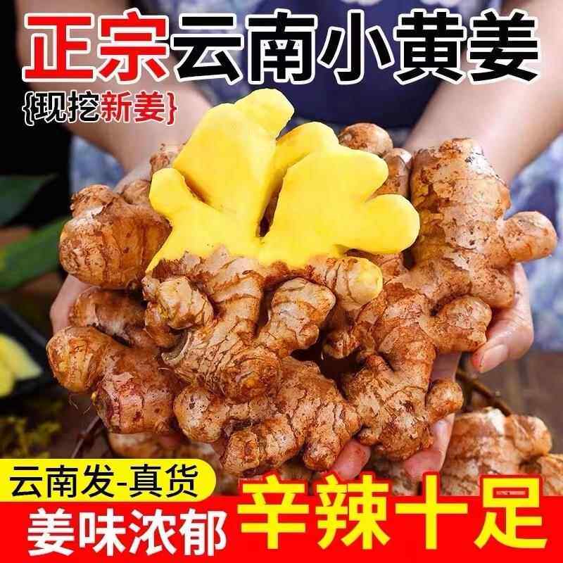 2025新云南小黄姜罗平新鲜生姜老姜现挖高山沙姜土姜种子蔬菜5斤