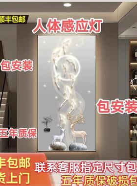 九鱼玄关LED灯人体感应星空麋鹿装饰画高端挂画现代走廊过道灯画