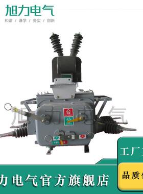 现货ZW20B-12/60-20柱上智能分界断路器带PT型电动机构厂家