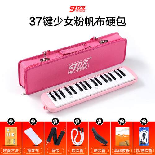 高档嘉德瑞口琴37键学初级32键初成级初级琴口小人和儿童口琴