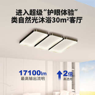 2025年新款意式极简客厅主灯简约吸顶灯现代中山灯具客厅大厅主灯