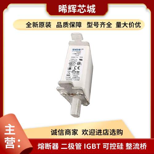 170M1561 170M1562 电子元器件 库存充足量大从优户外高压熔断器