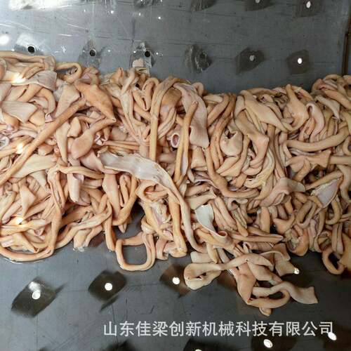 鸭肠清洗机鹅肠清洗设备猪肠羊肠清洗机全自动肠类清洗设备
