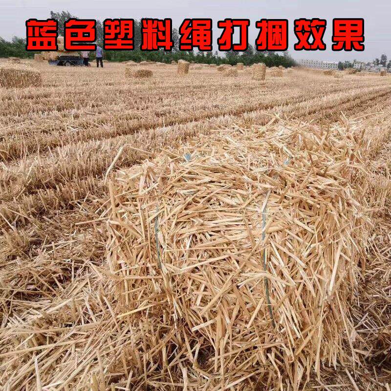 德蓝色塑料方捆机打捆塑料绳用打捆专草绳玉米秸秆包绳子打捆塑料