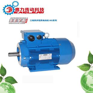 现货供应德国SEVA电机SEVA tec铝壳铸铁 tec三相异步电动机SEVA