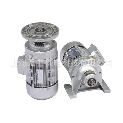 WB系列卧立式微型摆线针轮减速机WB85-LD-9-90W/WB100-WD-11-120W