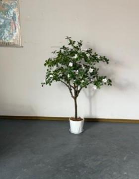 FT688-FT花盆陶瓷大号带盘家用性创多意个家用绿萝吊兰托肉花盆