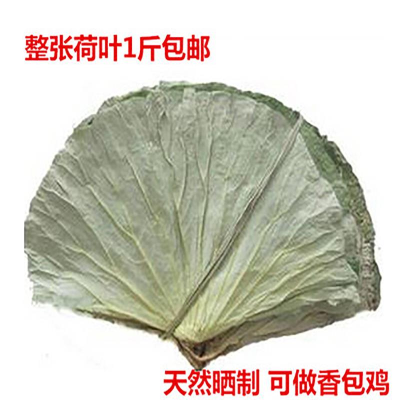 新疆包邮野生整张新鲜干荷叶500g糯米鸡叫花鸡包粽子熬粥莲叶莲藕