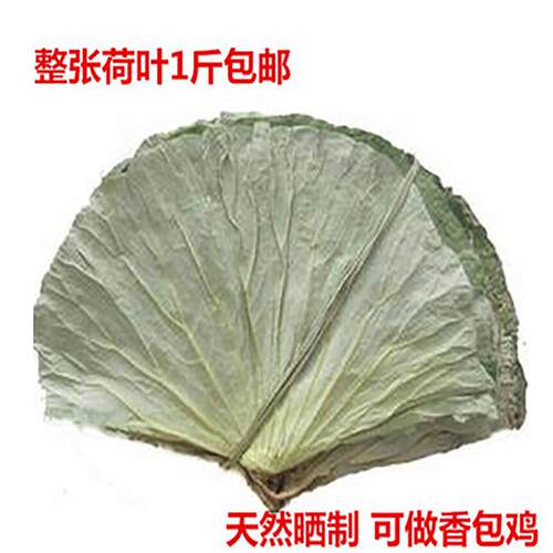 新疆包邮野生整张新鲜干荷叶500g糯米鸡叫花鸡包粽子熬粥莲叶莲藕