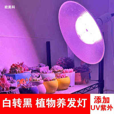 白转黑紫外线照射灯植物补光烤照头发紫光养发馆专用光合作用UV灯