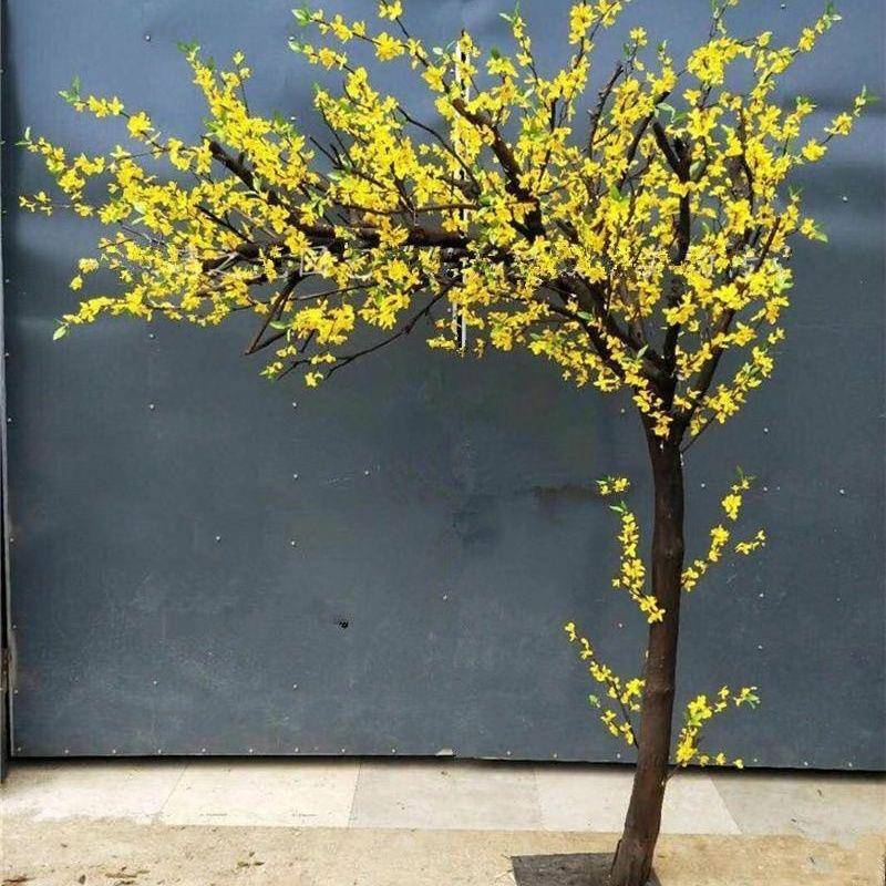 仿迎真春花树小黄花假婚树金树大型植物室内客厅庆饰幸仿真迎春福