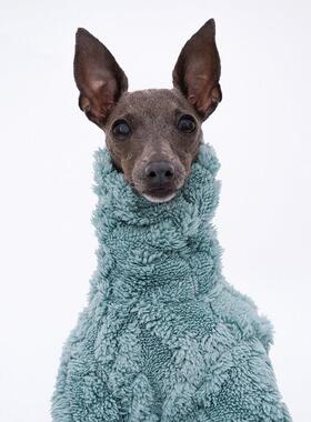 YDCStore意大利小灵缇惠比特贝林顿长绒四脚衣双面绒保暖四脚衣AI