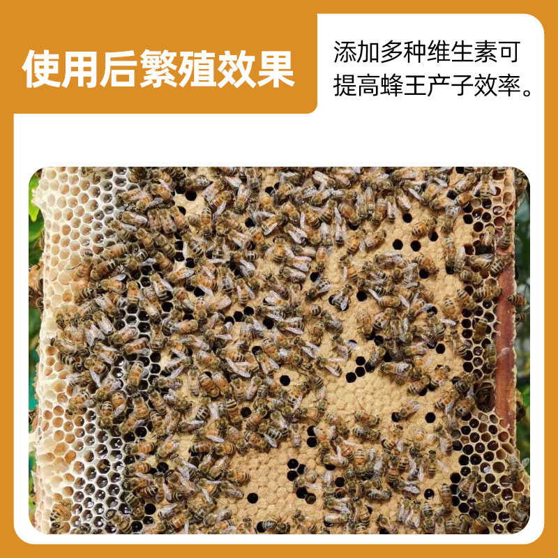 卫鹏蜂喜粉高蛋白蜂粮代用花粉蜜蜂饲料正品养蜂工具饲喂蜂用花粉