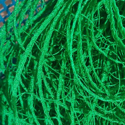 网菊花种植防物倒网MUR大伏棚种植方格网园艺植爬藤网定植大葱菊