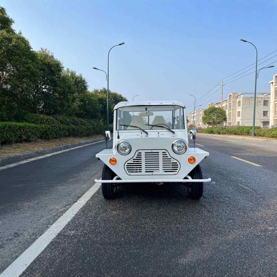 燃油MOKE车电动休闲车旅游观光车电动观光车电动MOKE车源头工厂