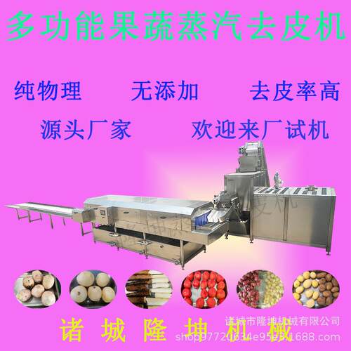 全自动桃子蒸汽去皮机土豆红薯多功能脱皮机葡萄纯物理去皮设备