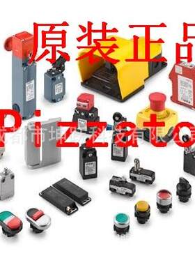 Pizzato限位开关ANG9A002A-PN3FS2896E120-M2NFB110EE-DN2G