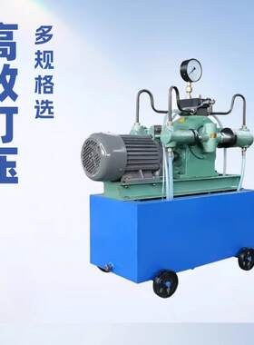 电动管道试压泵 升压稳压性能好 4SDY容器打压泵 现货电动试压泵