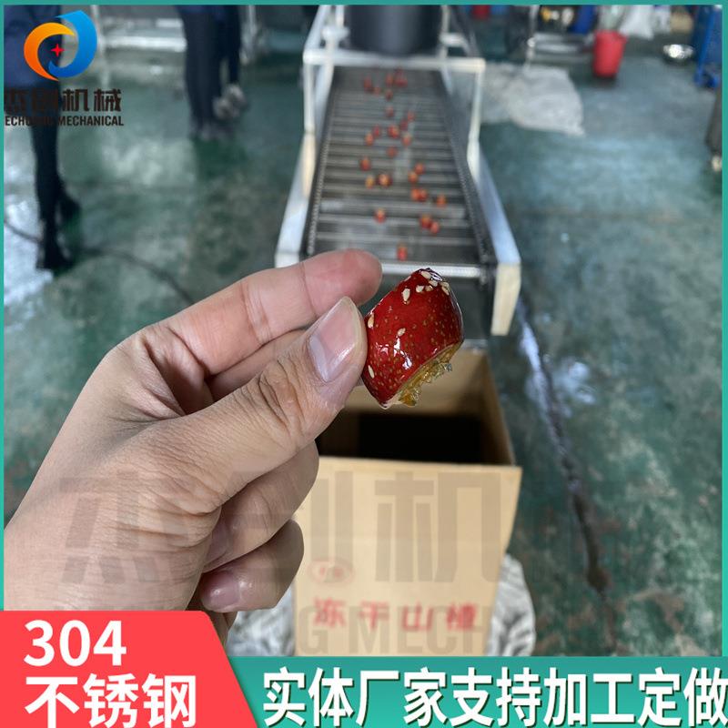 嘎嘣脆冻干山楂裹糖机器全自动带糖浆保温装置浸糖机不锈钢材质