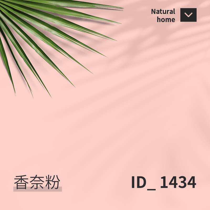 内墙家用涂料漆无味环保翻新墙面彩色乳胶漆白色室内漆刷油漆墙自