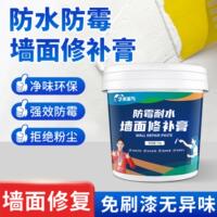 艺术笨鸟补墙膏防水防霉墙面修补膏家用白色墙体乳胶漆翻新腻子膏