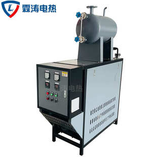 一体式小型导热油炉化工工业反应釜循环恒温加热导热油加热器