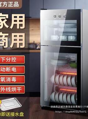 消毒柜商用餐饮饭店消毒碗柜新型家用小型立式免擦干沥水厨房碗筷