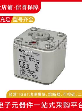 170M4802/4803/4804/4805/4806/4807/4808全新熔断器现货