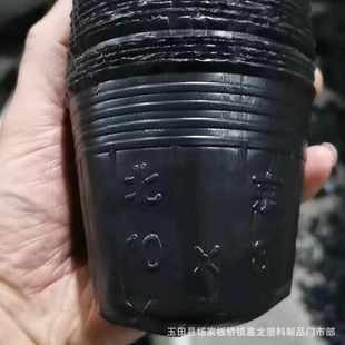 批发长方形营养钵 加厚营养钵不易变形 柑橘营养杯 塑料营养杯