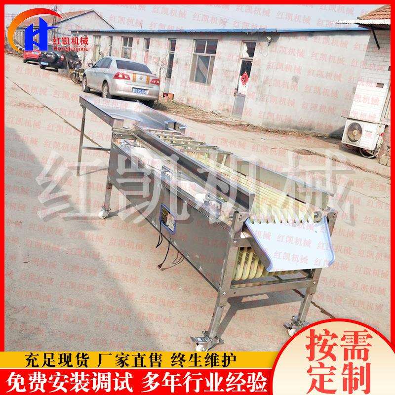 小型沃柑轨道式分选机皮带式柑橘选果机可调节果蔬分级设备