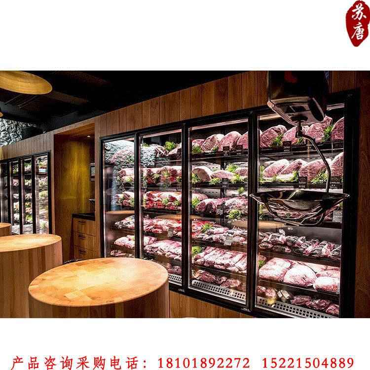 商场冷冻食品展示柜 风冷陈列柜 进口牛肉玻璃门立式冷冻柜13CL