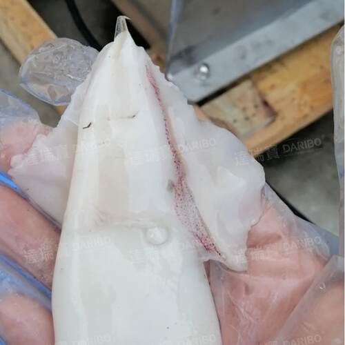 W厂家直供现货鱼肉去皮机 不锈钢小型鱼肉去皮机 自动去鱼皮机器