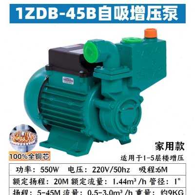 爆广东清水泵家用自吸泵高扬程220V自来水管道自动增压泵抽水泵品