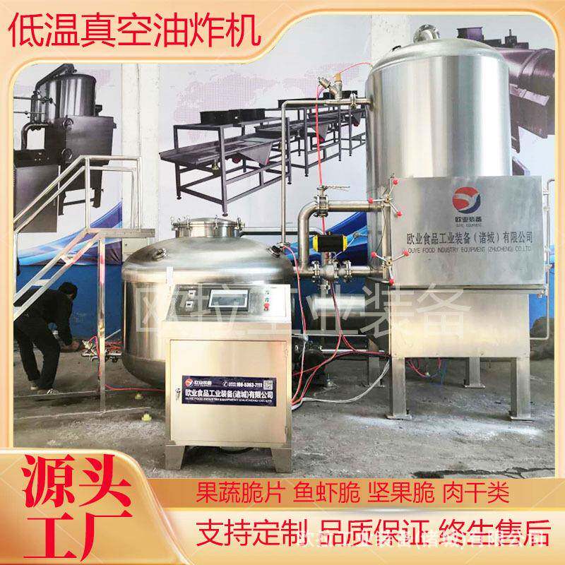 猪肉脯片真空油炸机器果蔬脆片低温油炸机牛肉干低温油炸设备